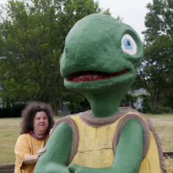 No Country For Old Turtles