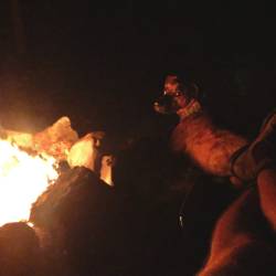 BONUS MINISODE: The Campfire Ben Phase BONUS MINISODE: The Campfire Ben Phase