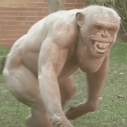 One Bigfoot Theory (with Monster Crazy) One Bigfoot Theory (with Monster Crazy)